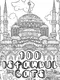 100 Istanbul Cats