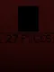 27 Pages