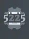 5225