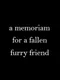 A Memoriam to a Fallen Furry Friend