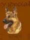 A Very Special Dog