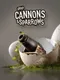 About Cannons & Sparrows
