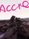 AccrO
