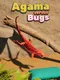 Agama Versus Bugs
