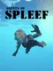 Agents of Spleef