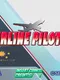 Airline Pilots
