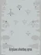 Airplane shooting spree