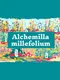 Alchemilla Millefolium
