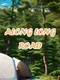 AlongLong Road