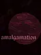 Amalgamation