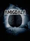 Amigdala