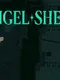 Angel Shell