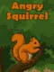 Angry Squirrel