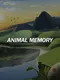 Animal Memory