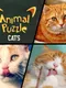 Animal Puzzle Cats
