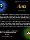 Ants