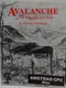 Avalanche: The Struggle for Italy