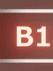 B1