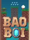 Bao Boi