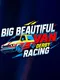 Big Beautiful Van Derby Racing