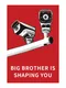 Big Brother Is Shaping You