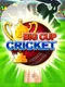 Big Cup Cricket