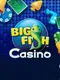 Big Fish Casino