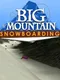 Big Mountain Snowboarding