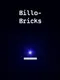 Billo-Bricks