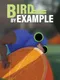 Bird by Example