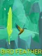 Bird Feather: Aquamarine World