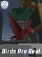 Birds Are Real