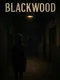 Blackwood: Beneath the Silence