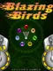 Blazing Birds