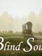 Blind Souls
