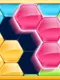 Block! Hexa Puzzle