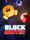 Block Hunter