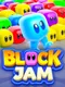 Block Jam