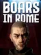 Boars in Rome