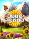 Bold Moves+