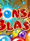Bonsai Blast