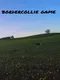 BorderCollie Game