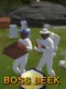 Boss Beek-Beekeeping Simulator