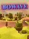 Bowave