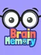 Brain Memory