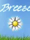 Breeze