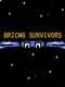 Bricks Survivors