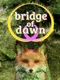 Bridge of Dawn