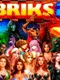Briks 2