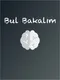 Bul Bakalım